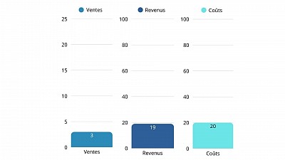 Ventes, Revenus et Coûts des RavixShirt